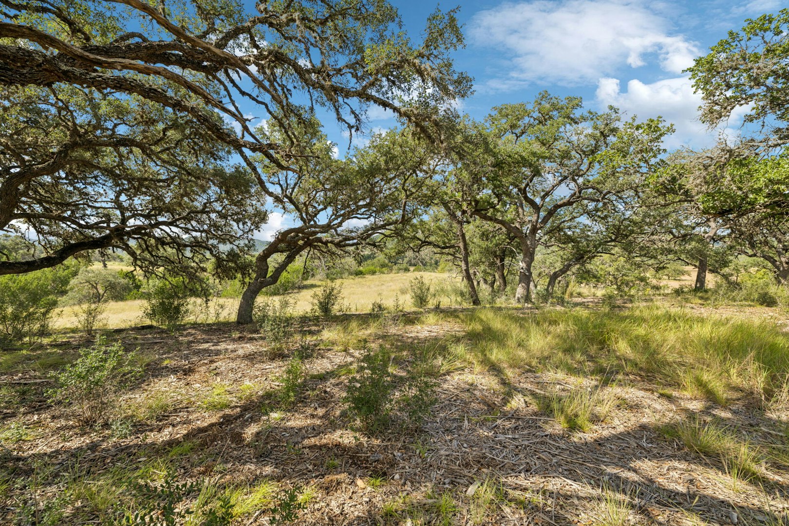 120 Rocky Creek Road Medina TX 78055