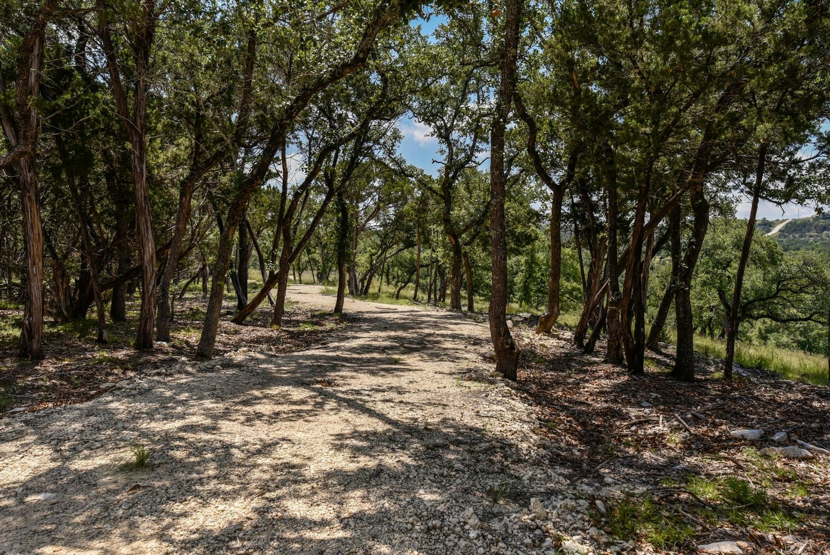11632 Grand Summit Boulevard Dripping Springs TX 78620