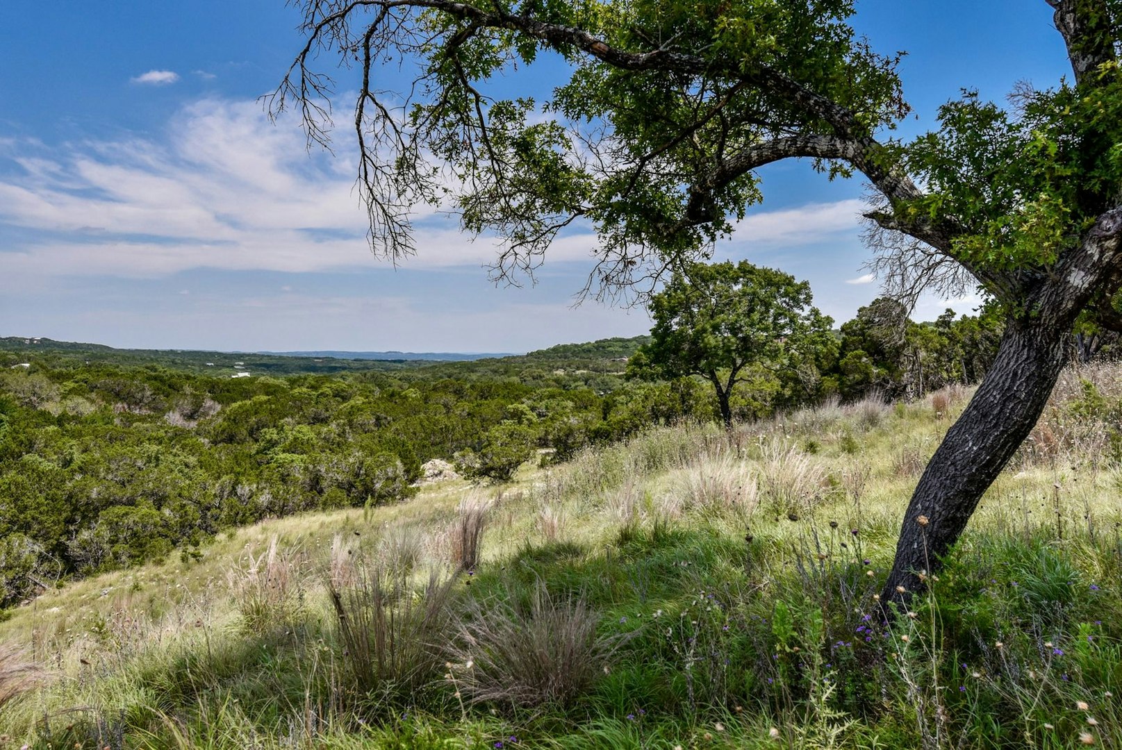 11632 Grand Summit Boulevard Dripping Springs TX 78620