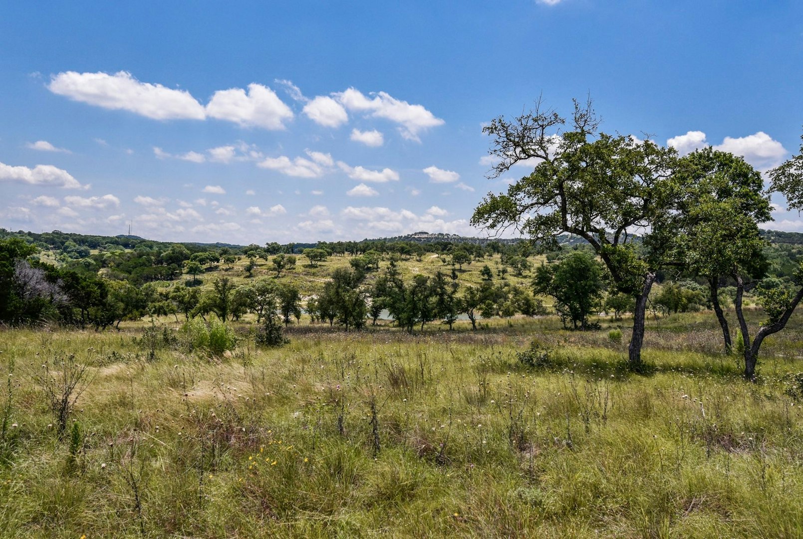 11632 Grand Summit Boulevard Dripping Springs TX 78620
