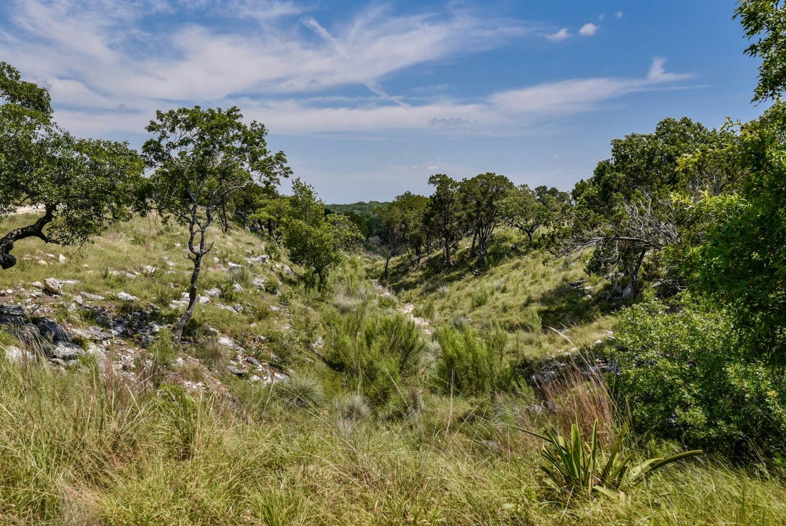 11632 Grand Summit Boulevard Dripping Springs TX 78620
