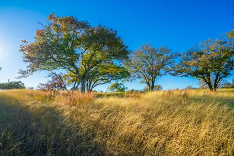 101 Bella Springs Boerne TX 78006