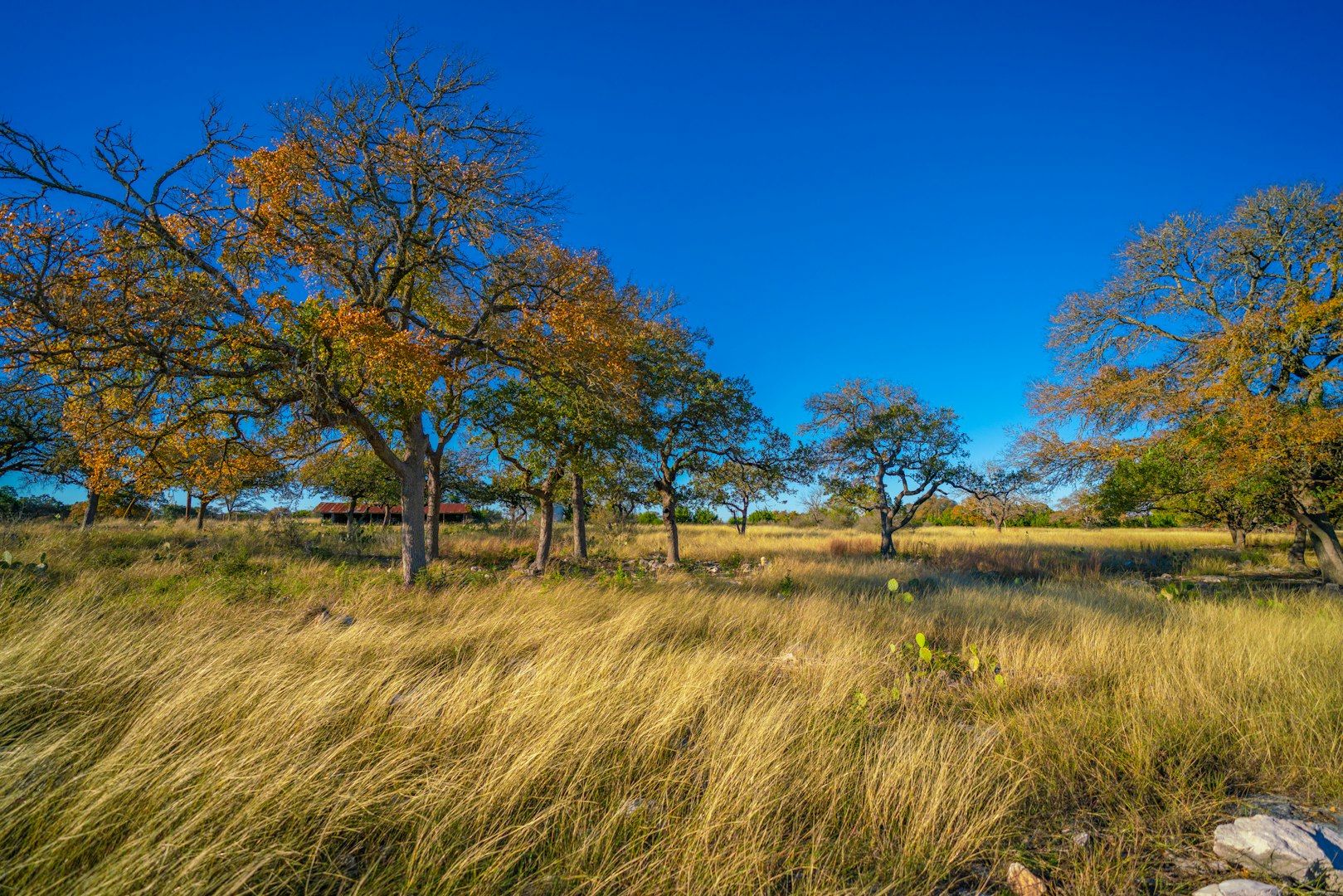 101 Bella Springs Boerne TX 78006