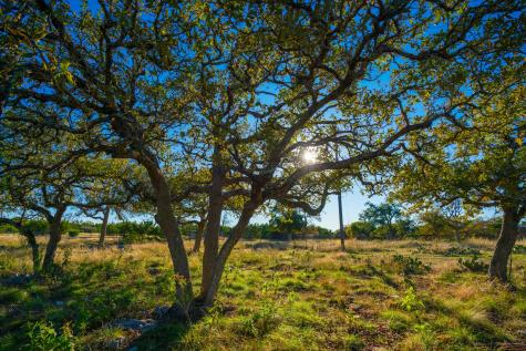 101 Bella Springs Boerne TX 78006