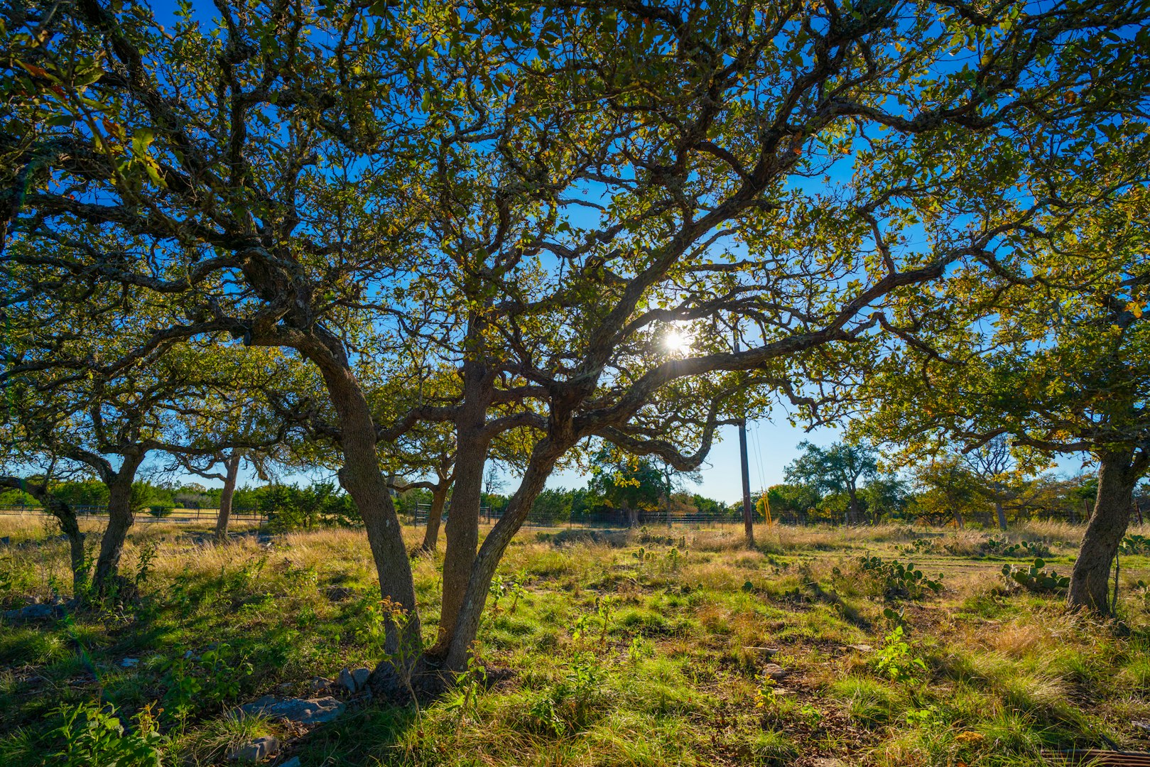 101 Bella Springs Boerne TX 78006