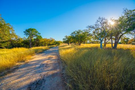 101 Bella Springs Boerne TX 78006