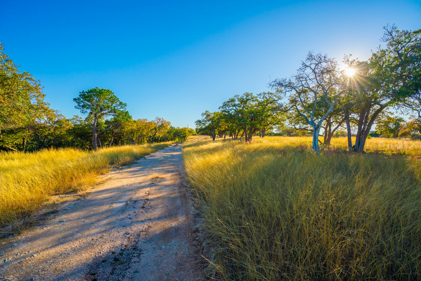 101 Bella Springs Boerne TX 78006