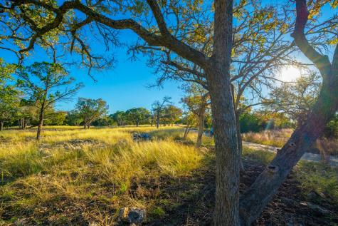 101 Bella Springs Boerne TX 78006