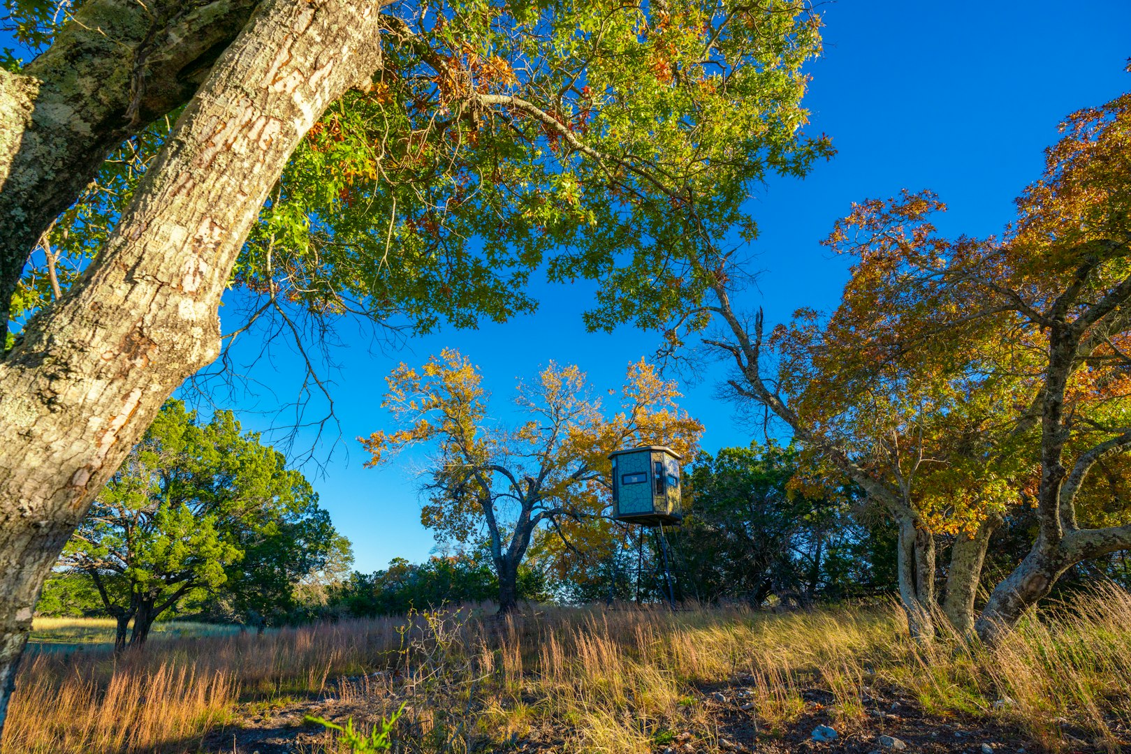 101 Bella Springs Boerne TX 78006