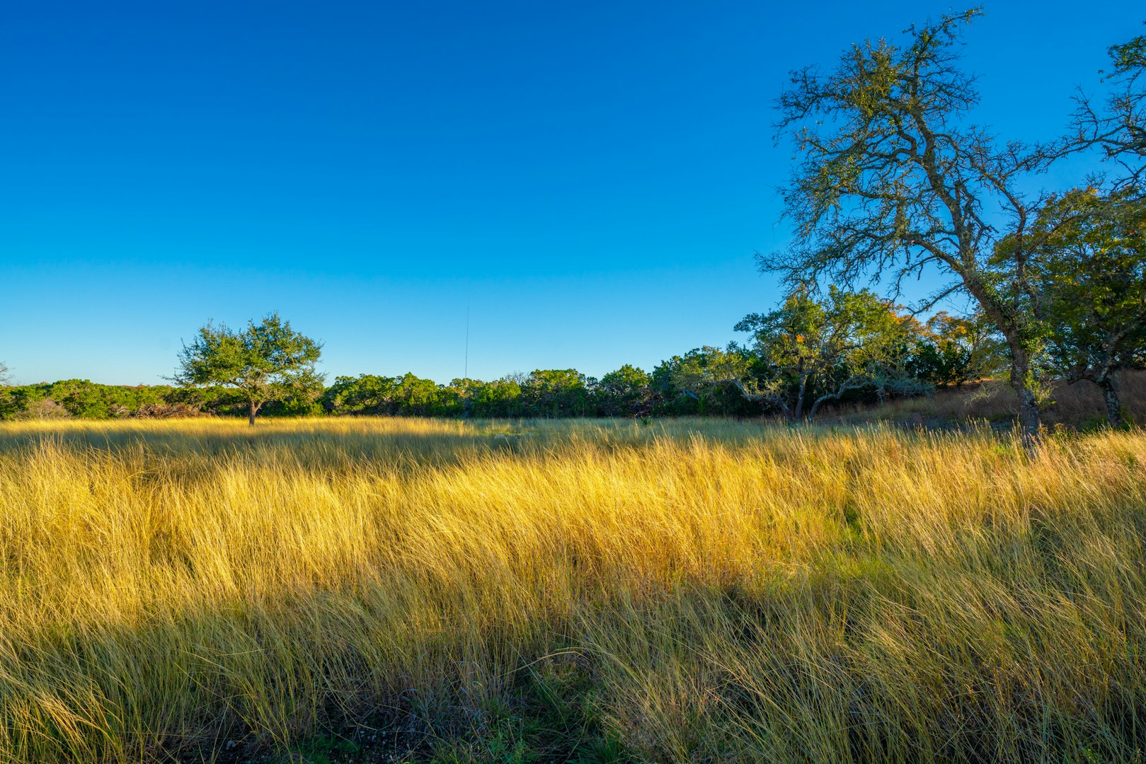 101 Bella Springs Boerne TX 78006