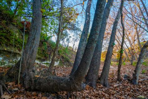 101 Bella Springs Boerne TX 78006