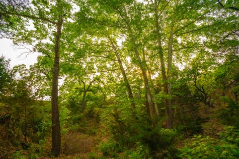 101 Bella Springs Boerne TX 78006