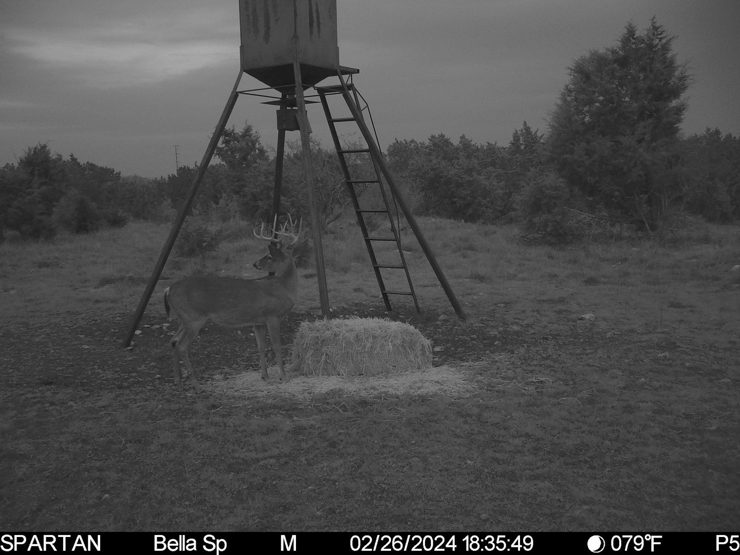 101 Bella Springs Boerne TX 78006