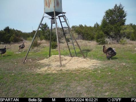 101 Bella Springs Boerne TX 78006