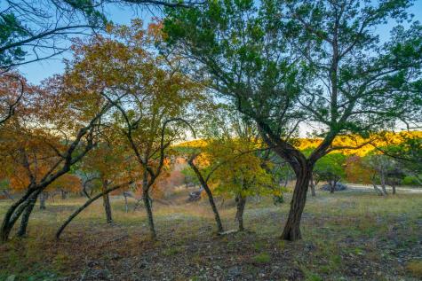 101 Bella Springs Boerne TX 78006