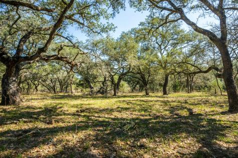 16297 Texas 111 Yoakum TX 77995