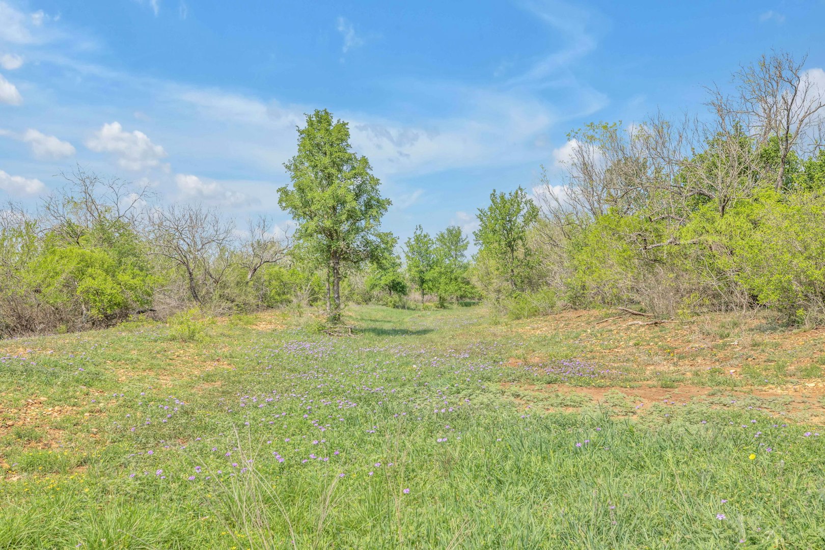 0000 Saint Hedwig Showplace Saint Hedwig TX 78152