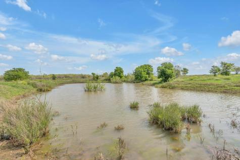 0000 Saint Hedwig Showplace Saint Hedwig TX 78152