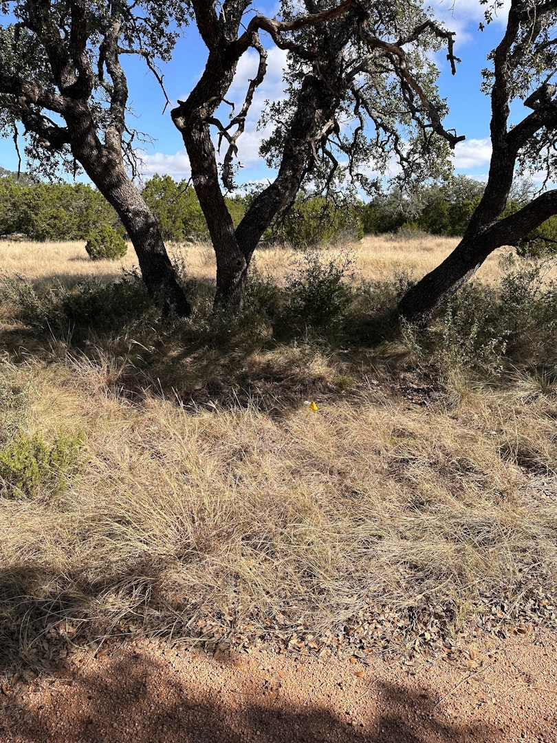 0000 Lot 5 Seven Springs Drive Junction TX 76849