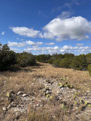 0000 Lot 5 Seven Springs Drive Junction TX 76849