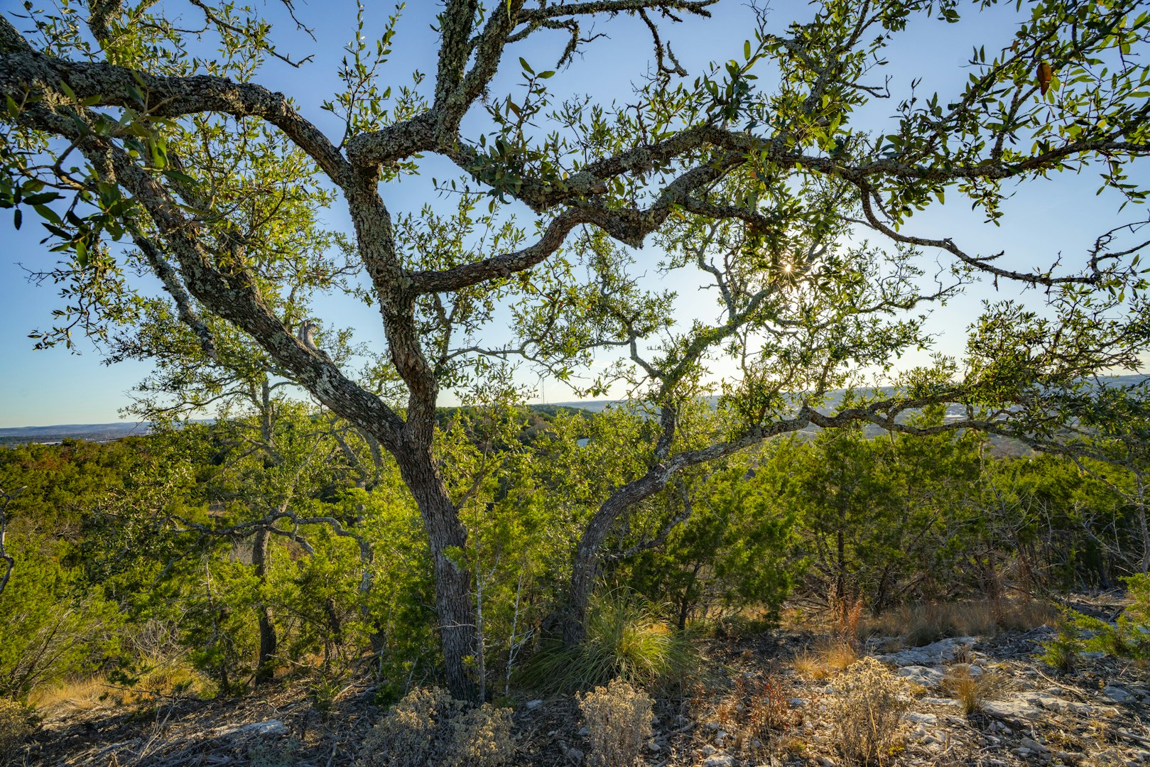 0000 Tbd Cypress Creek Road Kerrville TX 78028