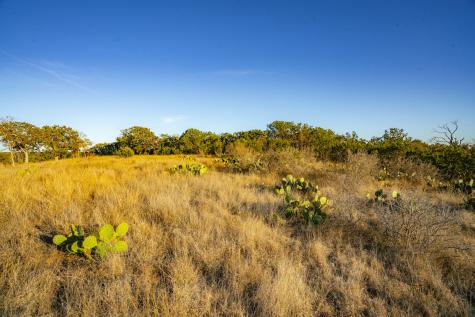 0000 Tbd Cypress Creek Road Kerrville TX 78028