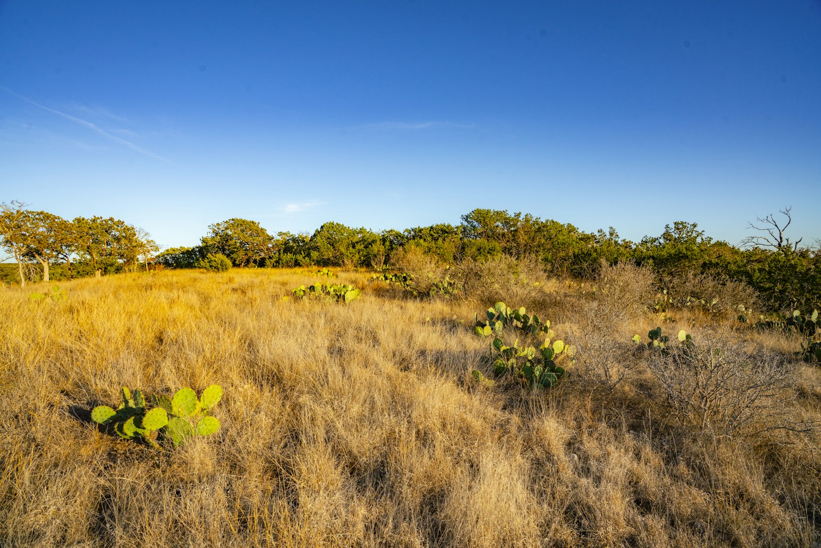 0000 Tbd Cypress Creek Road Kerrville TX 78028