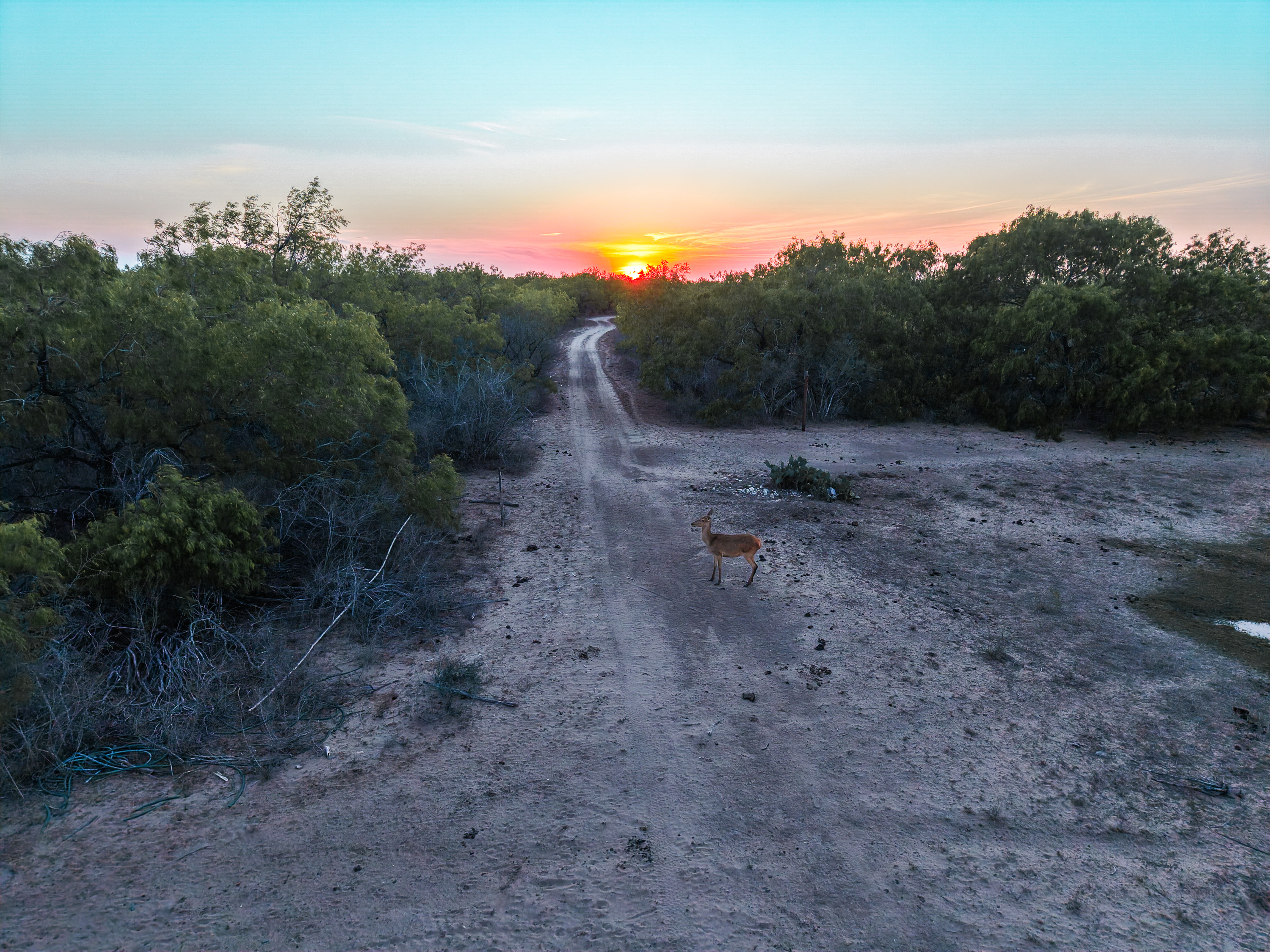 0 Summertime Road La Gloria TX 78536
