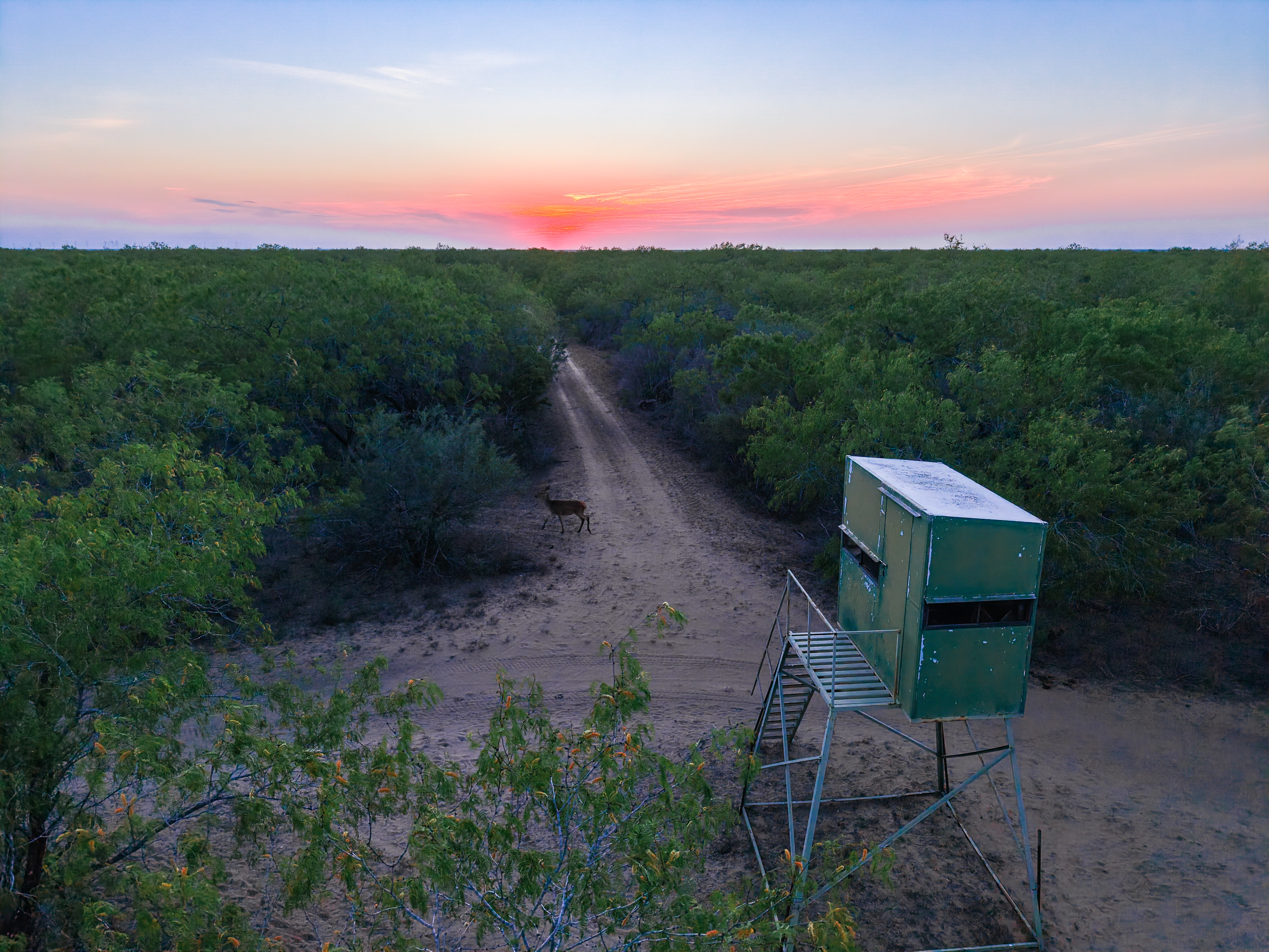 0 Summertime Road La Gloria TX 78536