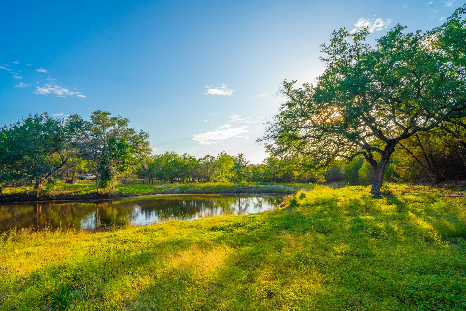 118 Majestic Oaks Drive Boerne TX 78006