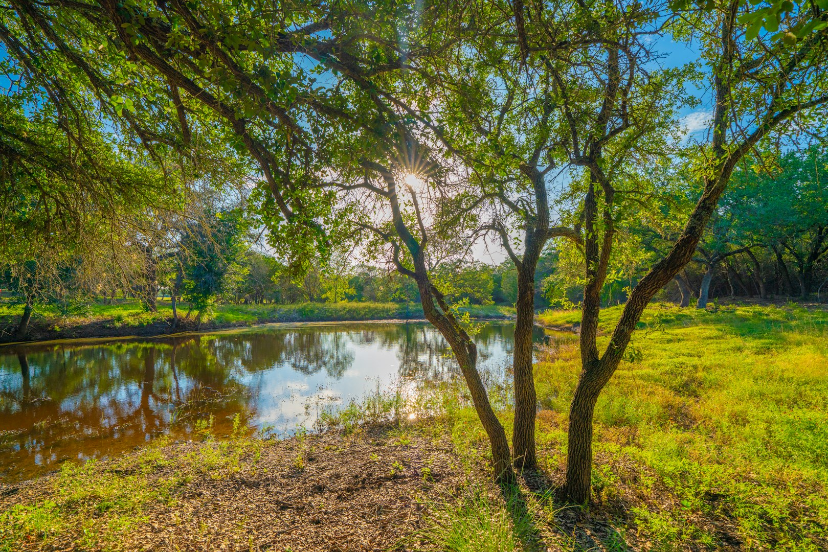 118 Majestic Oaks Drive Boerne TX 78006