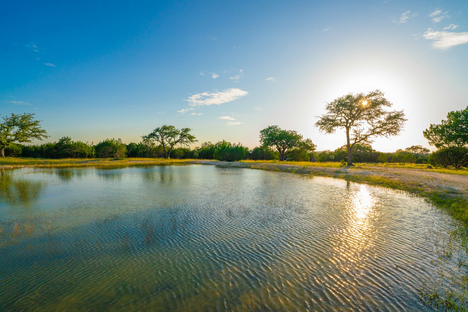 118 Majestic Oaks Drive Boerne TX 78006