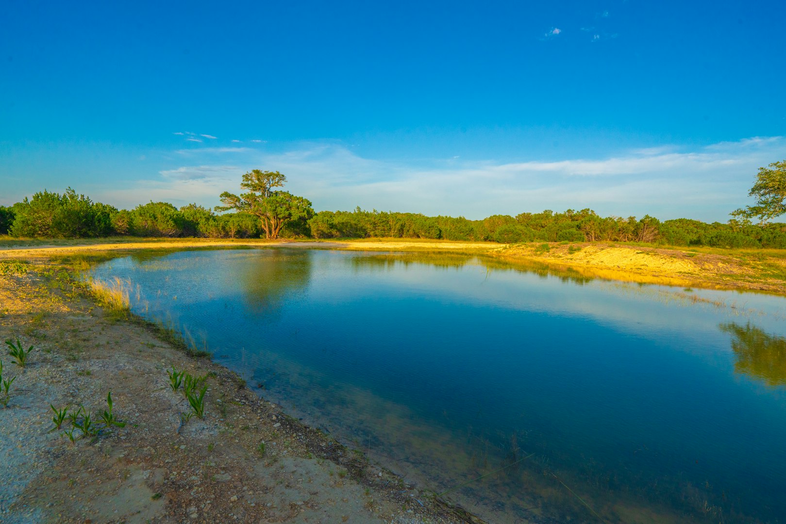 118 Majestic Oaks Drive Boerne TX 78006