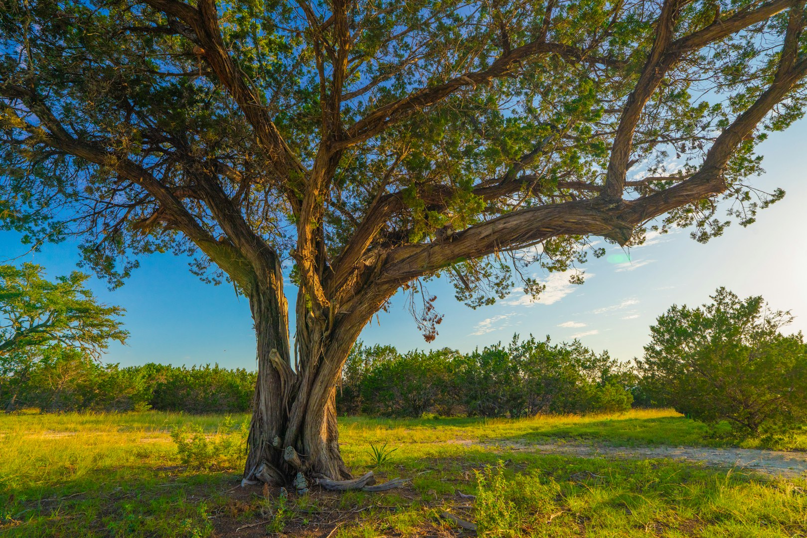 118 Majestic Oaks Drive Boerne TX 78006