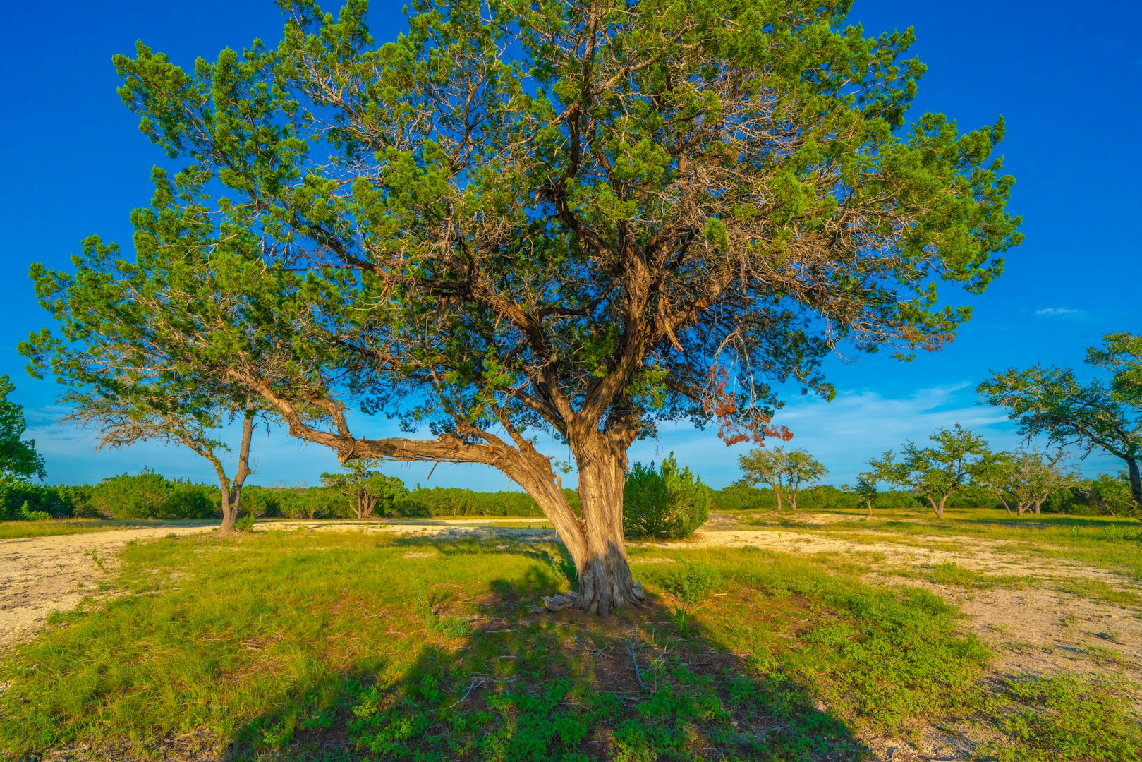 118 Majestic Oaks Drive Boerne TX 78006