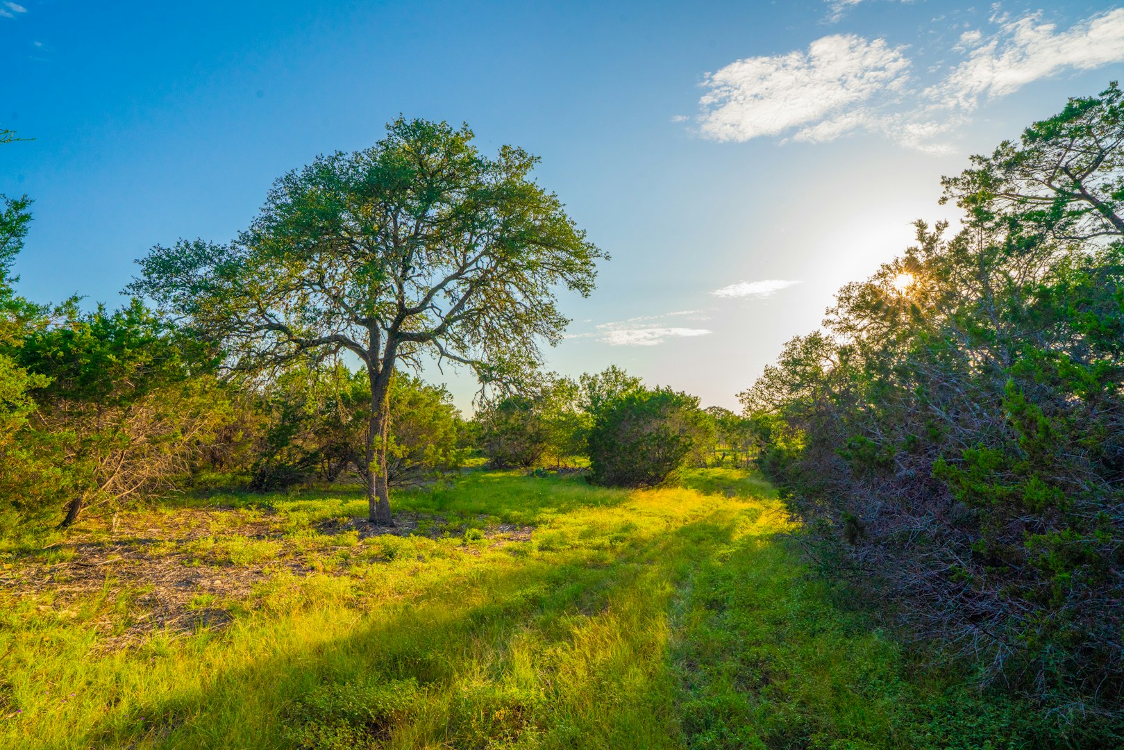 118 Majestic Oaks Drive Boerne TX 78006