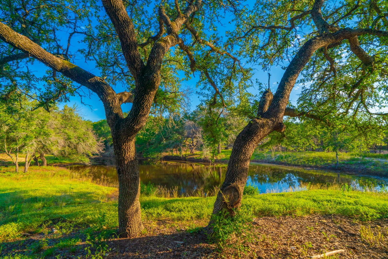 118 Majestic Oaks Drive Boerne TX 78006