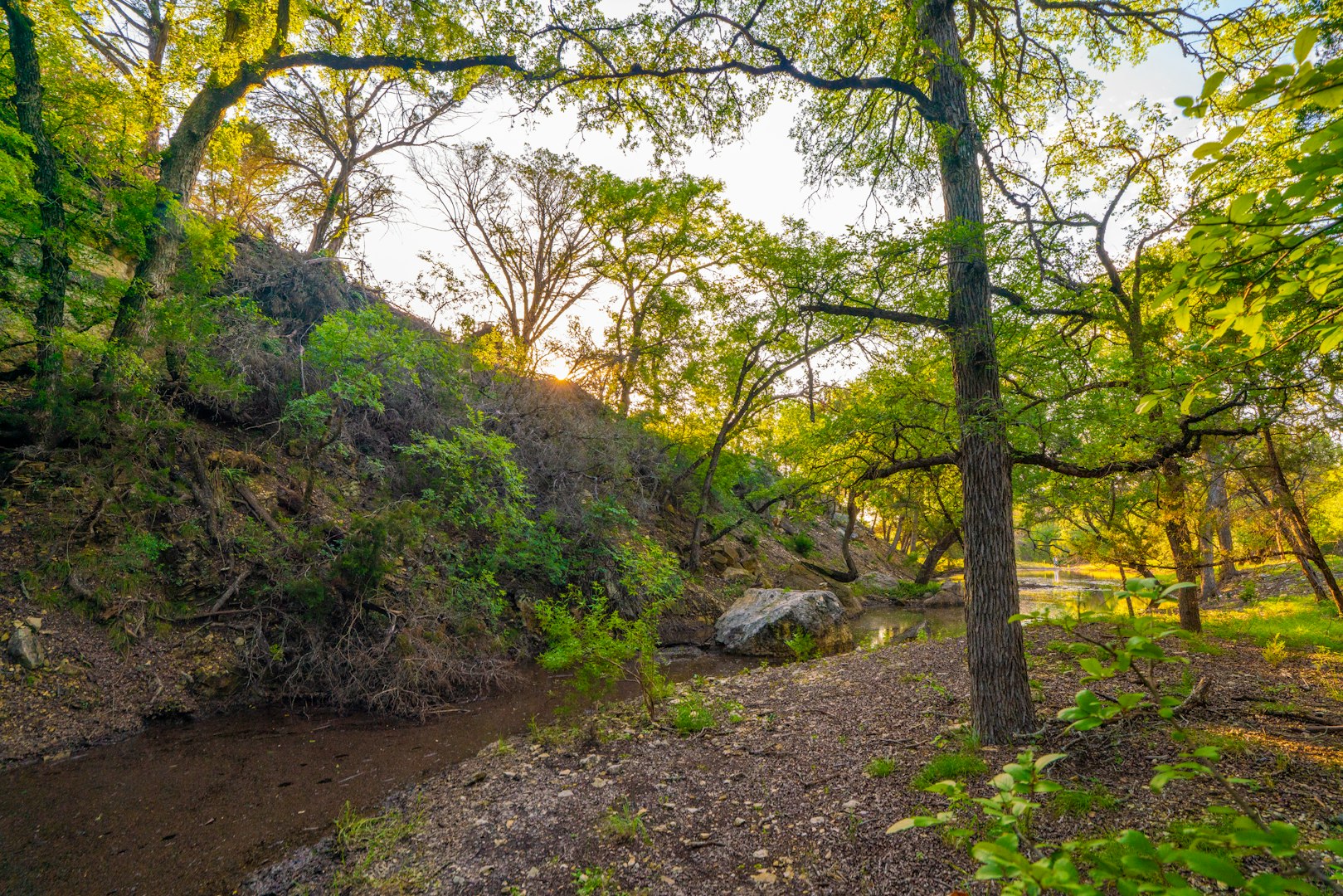 118 Majestic Oaks Drive Boerne TX 78006