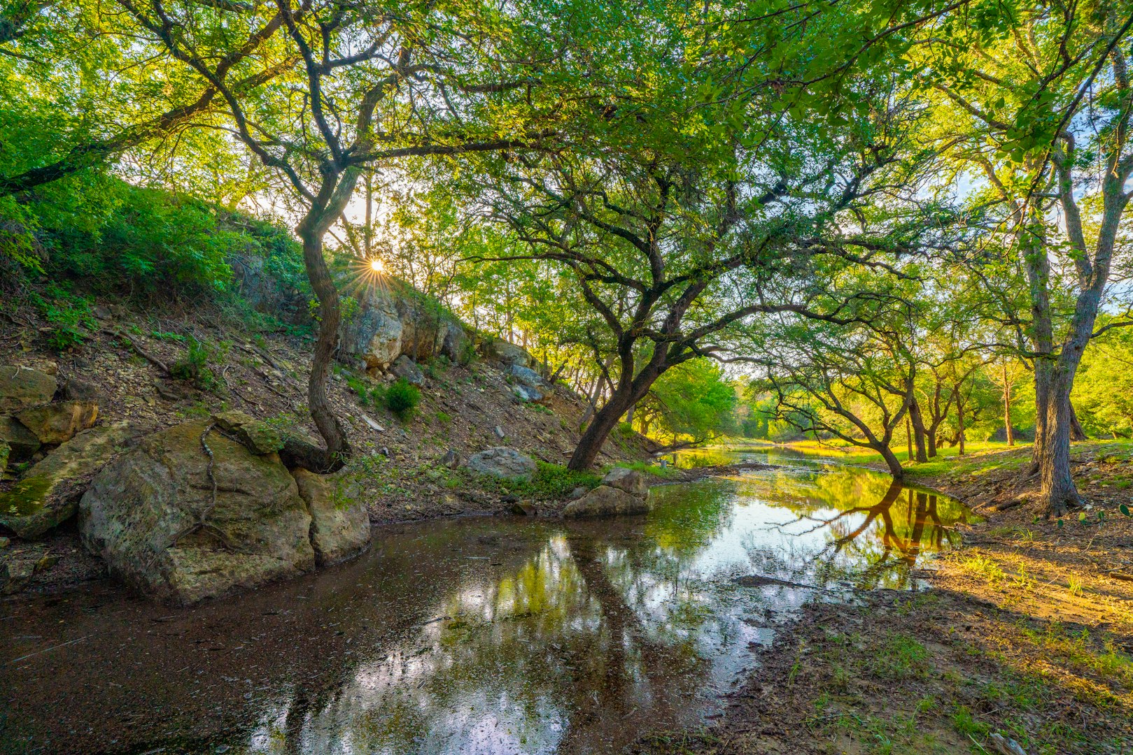 118 Majestic Oaks Drive Boerne TX 78006