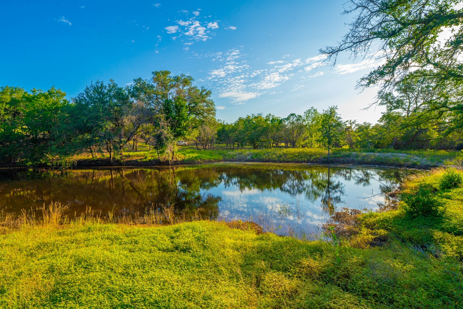 118 Majestic Oaks Drive Boerne TX 78006