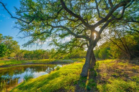 118 Majestic Oaks Drive Boerne TX 78006
