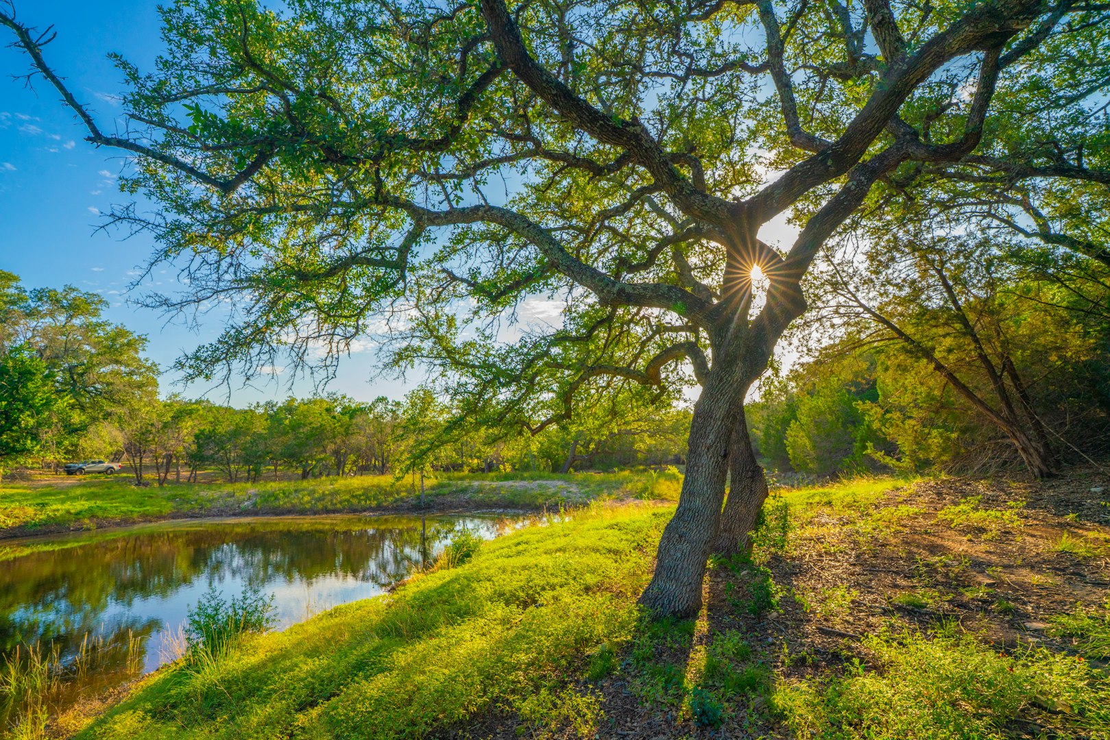 118 Majestic Oaks Drive Boerne TX 78006