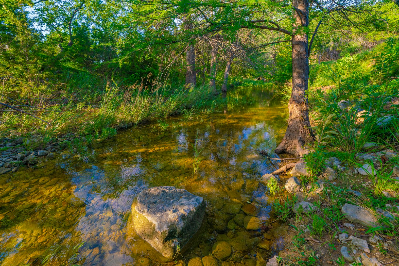 118 Majestic Oaks Drive Boerne TX 78006