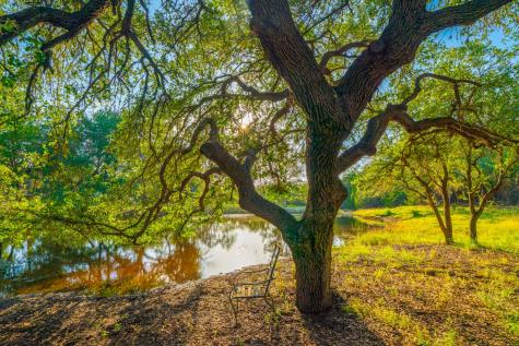 118 Majestic Oaks Drive Boerne TX 78006