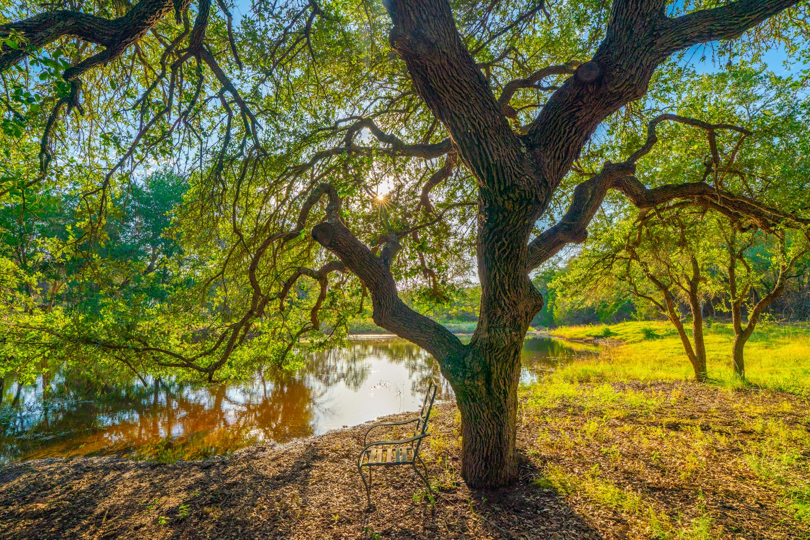 118 Majestic Oaks Drive Boerne TX 78006