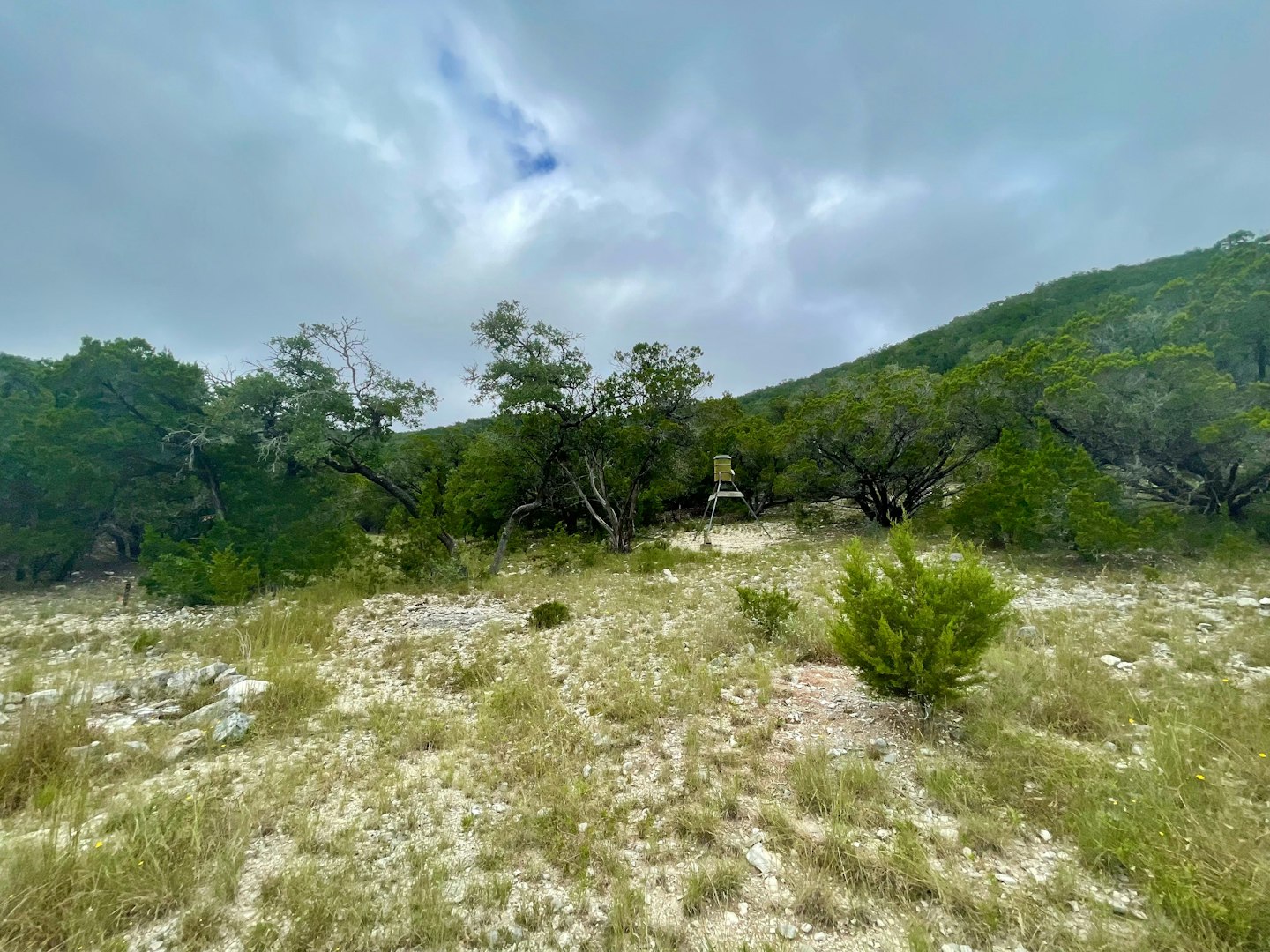 0000 Valley Vista Road Tarpley TX 78883