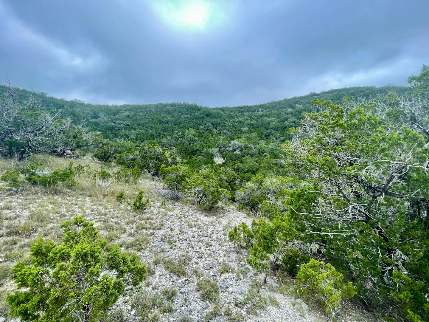 0000 Valley Vista Road Tarpley TX 78883