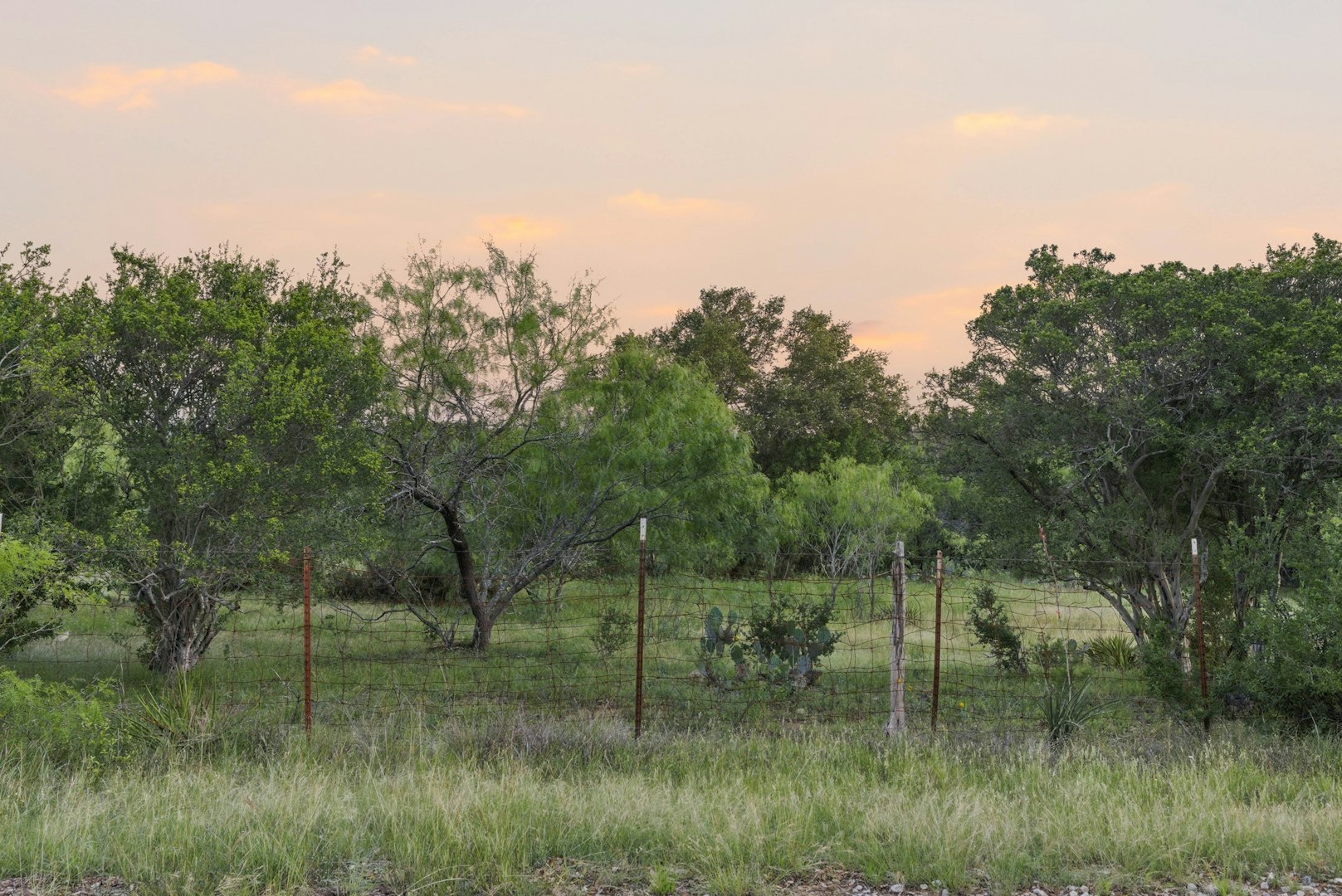 3303 Fearless Treadway Round Mountain TX 78663