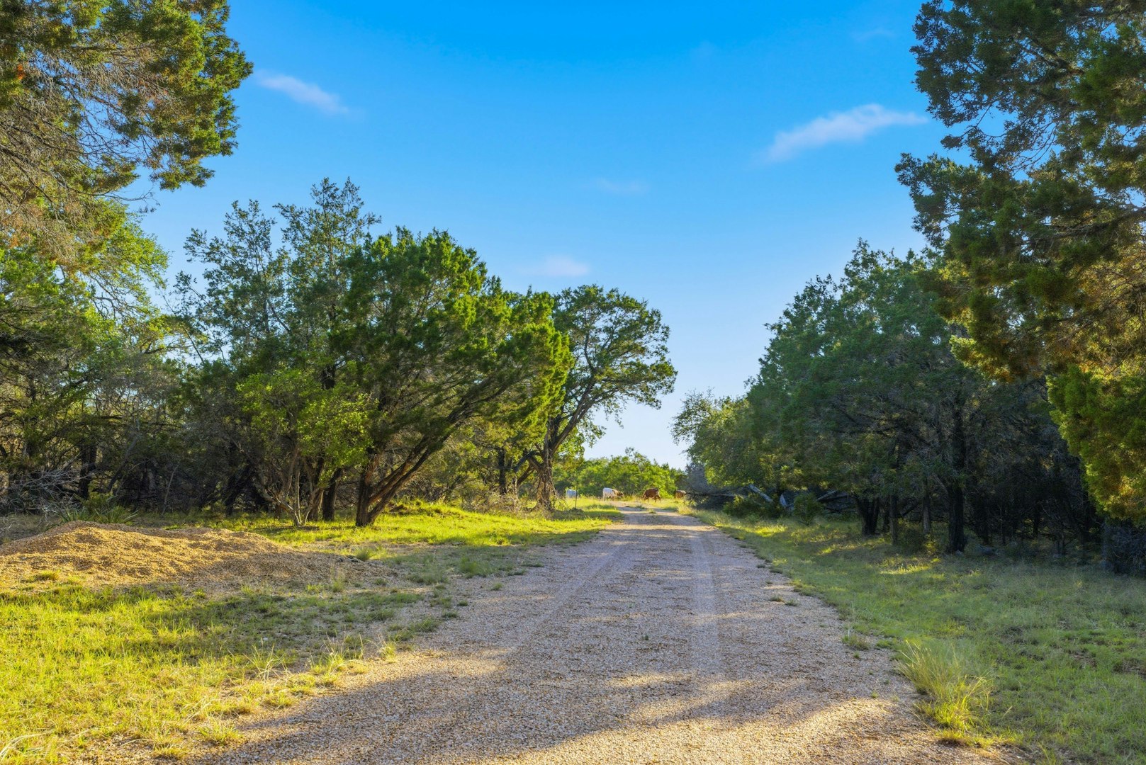 3303 Fearless Treadway Round Mountain TX 78663