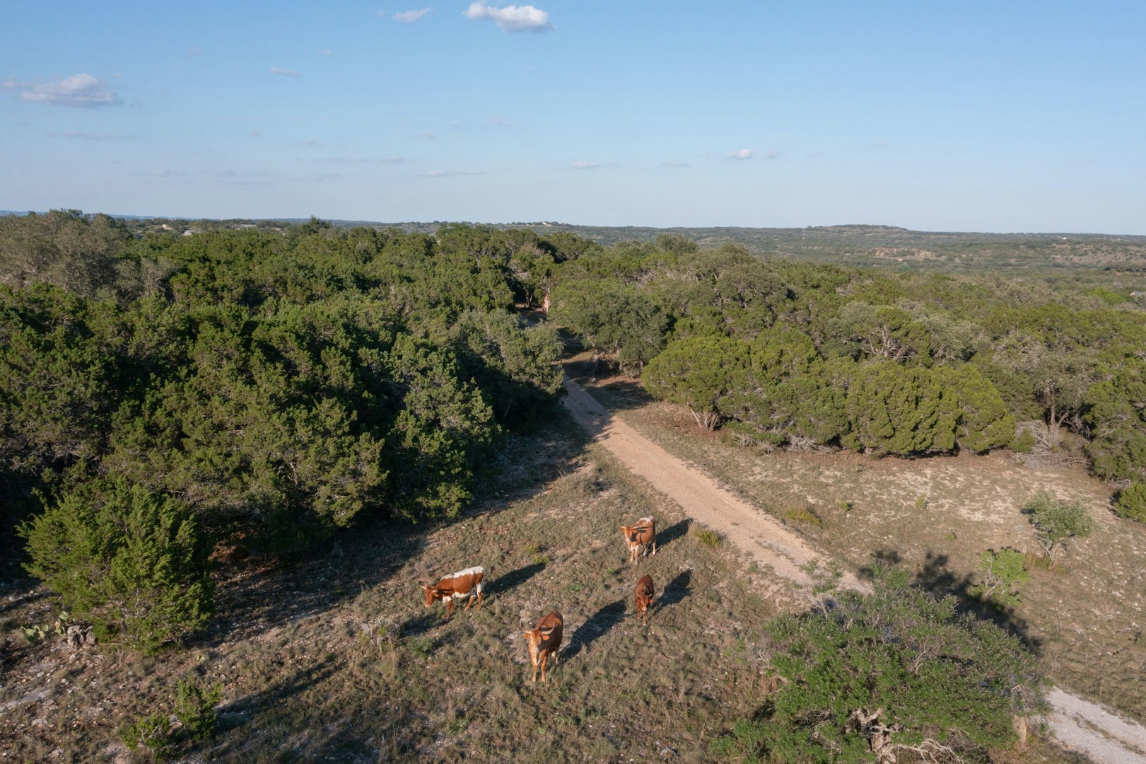 3303 Fearless Treadway Round Mountain TX 78663